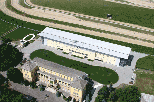 Indul a galoppszezon a Kincsem Parkban
