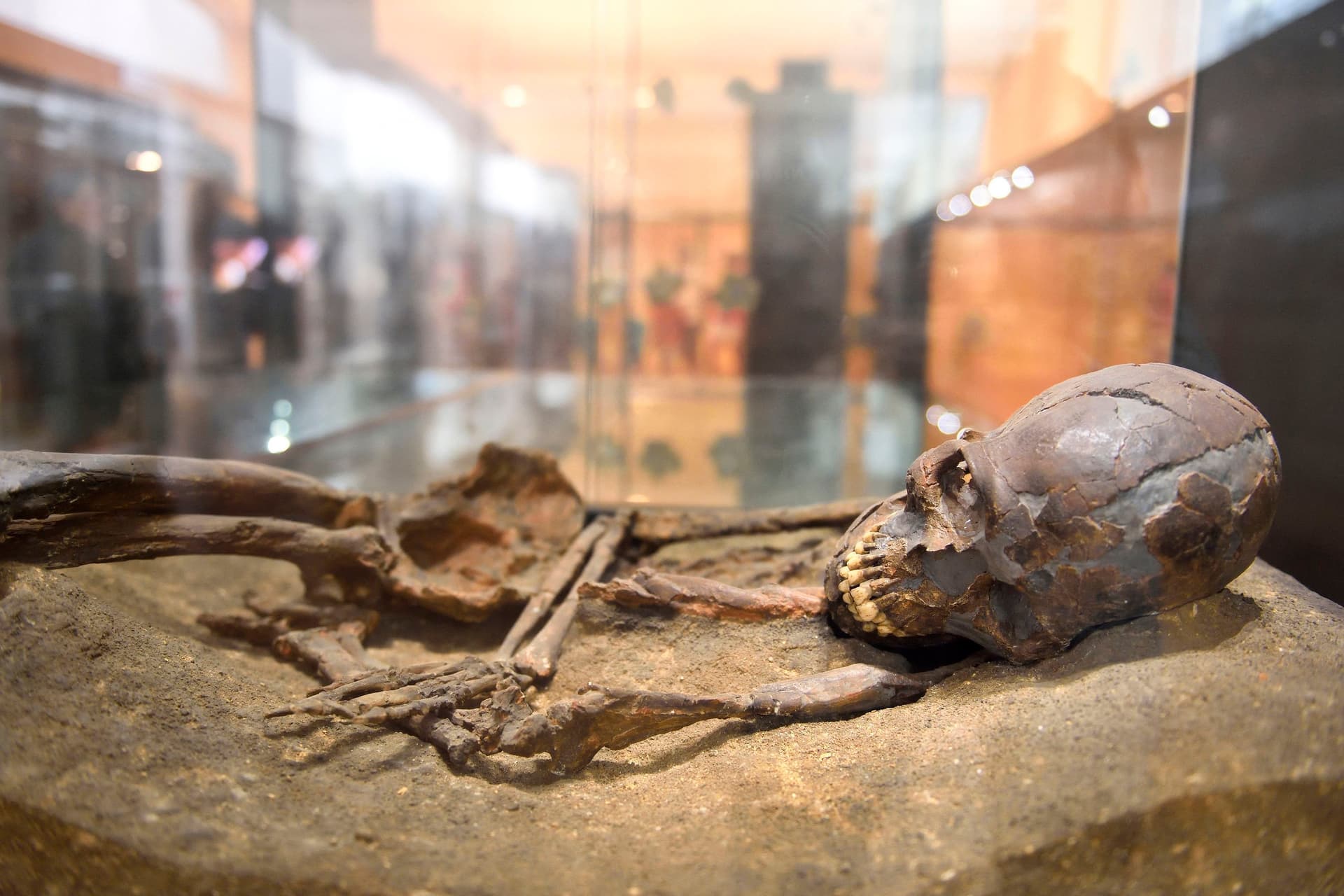 Felfedezték a világ legidősebb ember-neandervölgyi hibrid gyermekét