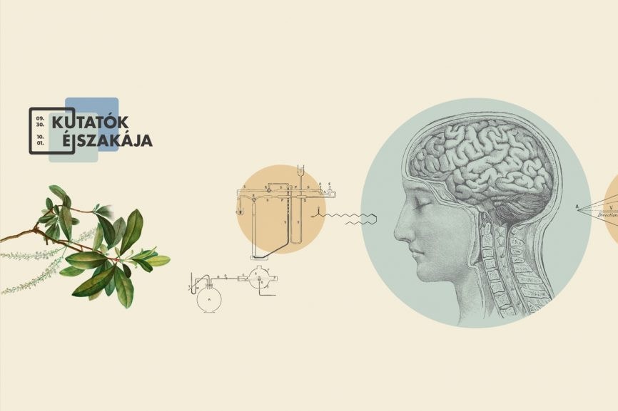 Kutatók Éjszakája – Csaknem kétszáz program a Pécsi Tudományegyetem kutatóhelyein, laboratóriumaiban