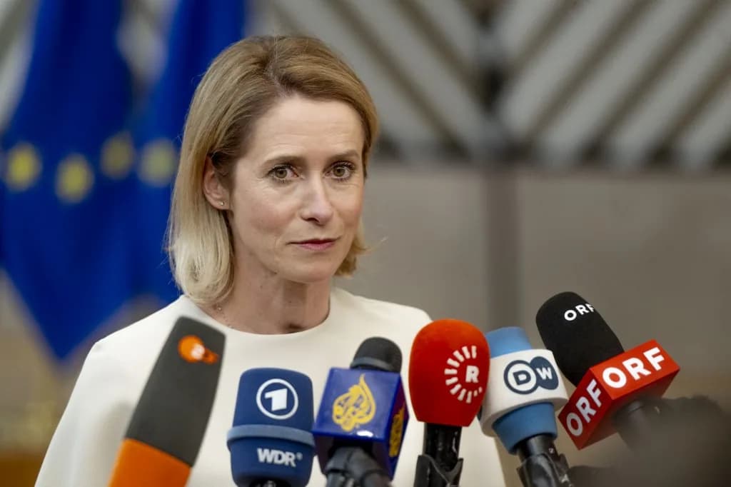 Kallas visszavonta a volt szlovén külügyminiszter jelölését
