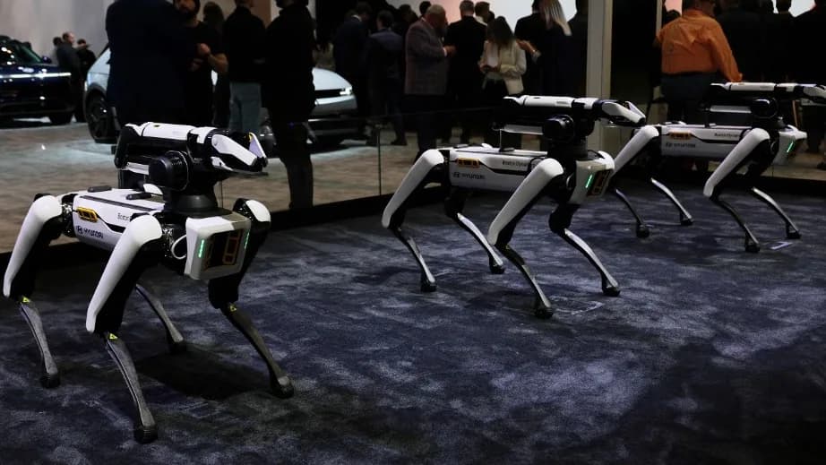 Robotkutyákat vetne be az amerikai bevándorlási hivatal