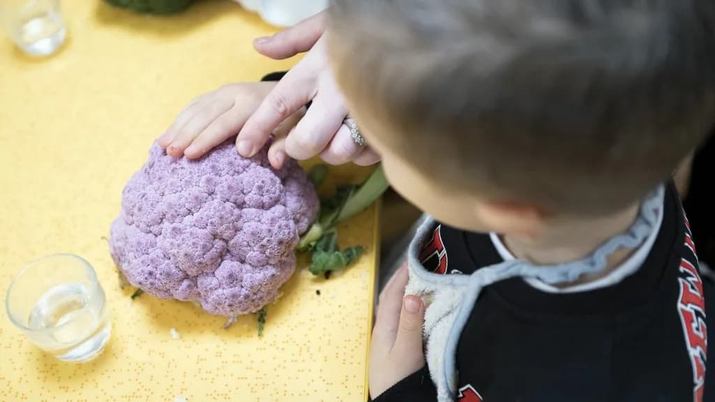 Nem csak nálunk durva a pedagógushiány