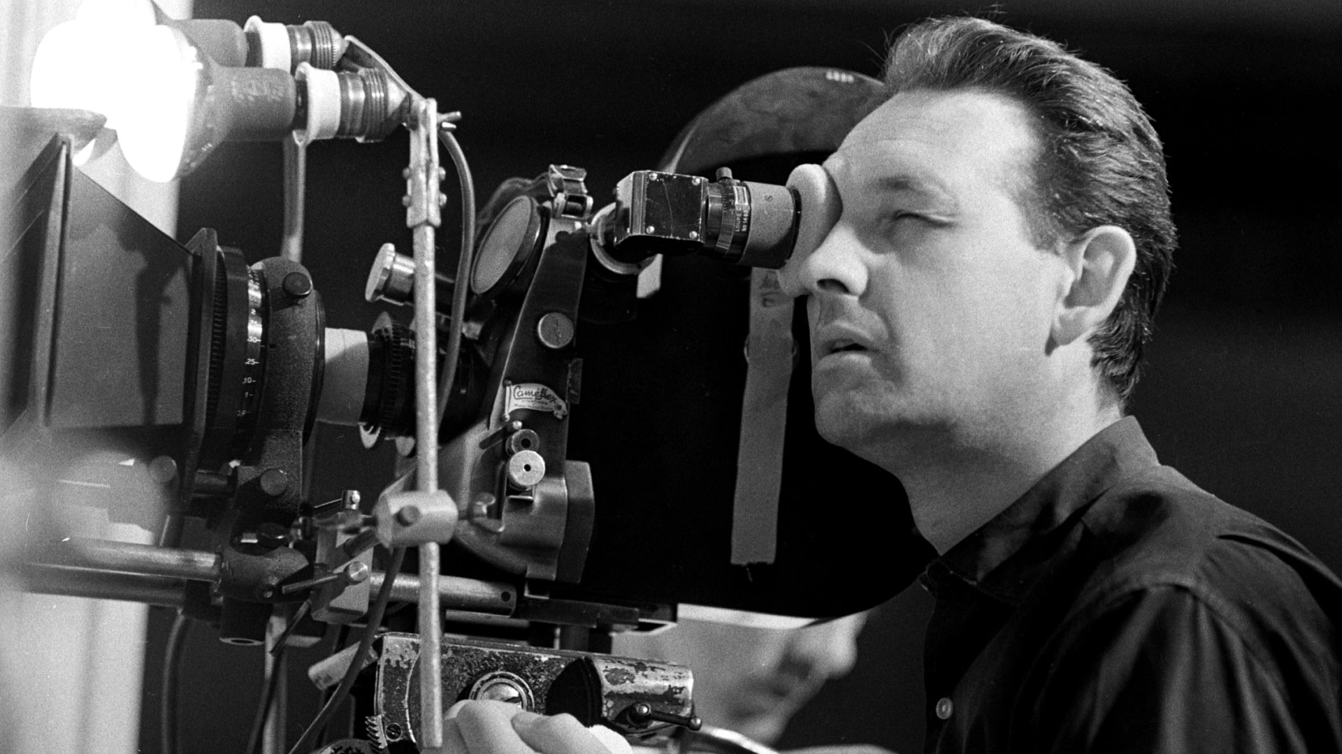 Andrzej Wajda a Müpában
