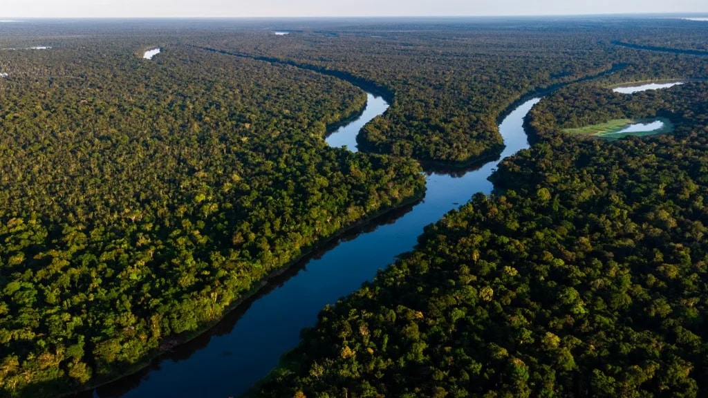 Ismeretlen békafajt fedeztek fel az Amazonas mélyén