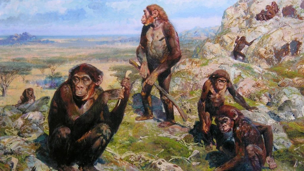 Új nyomokat találtak arról, hogyan vált őseinkből két lábon járó ember
