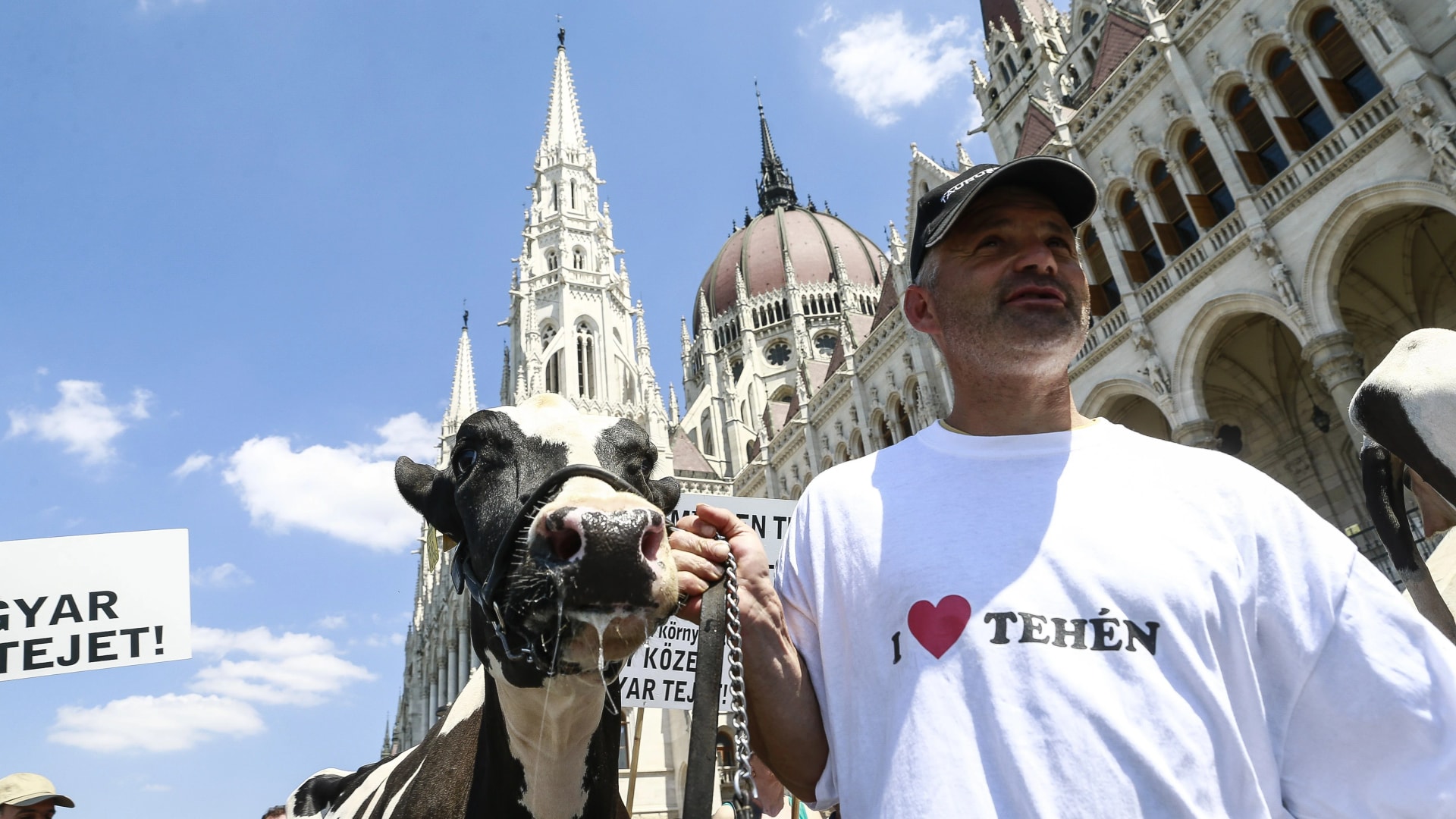 Parragh-adó agrárkiadásban? Kötelező milliárdokból épülhetett politikai hátország