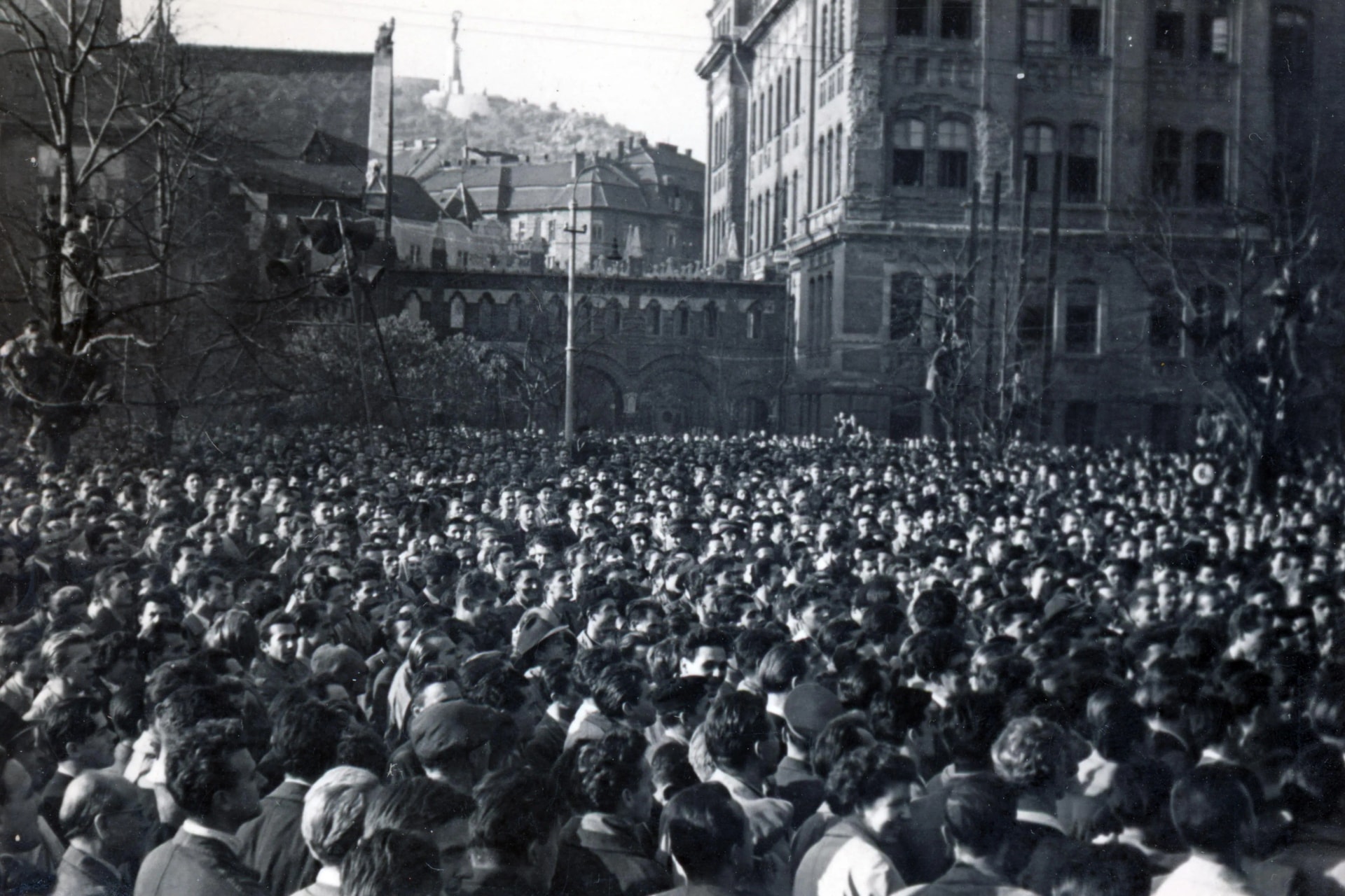 A hírek tükrében 1956. október 23-a
