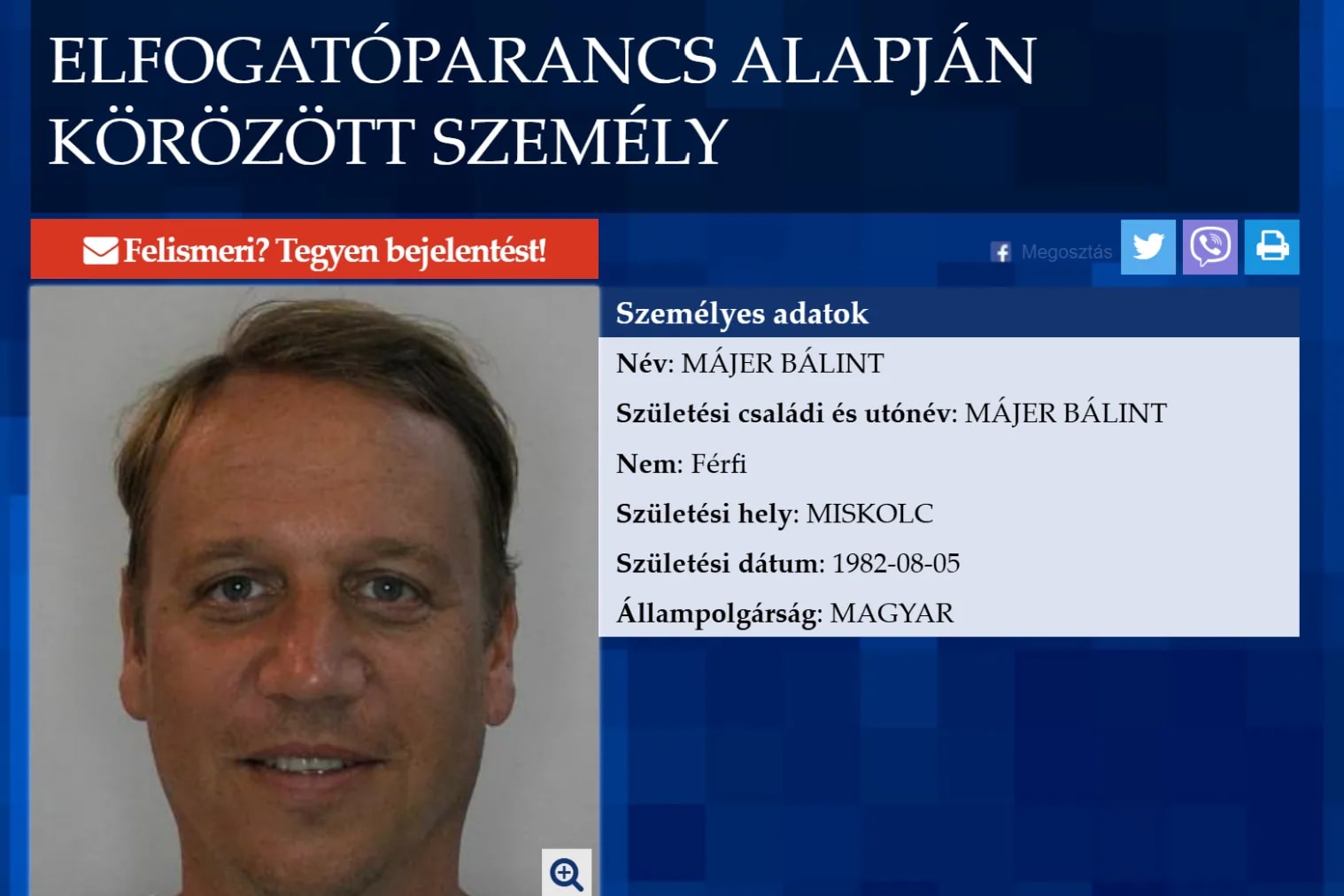 Hogyan lett milliárdos Májer Bálint?