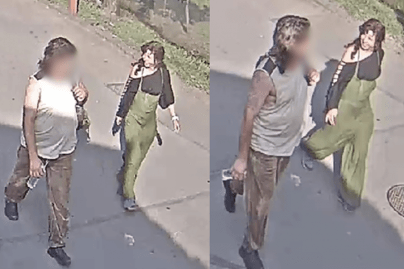 Kockakővel ütötték agyon az Állatkert görög teknősét