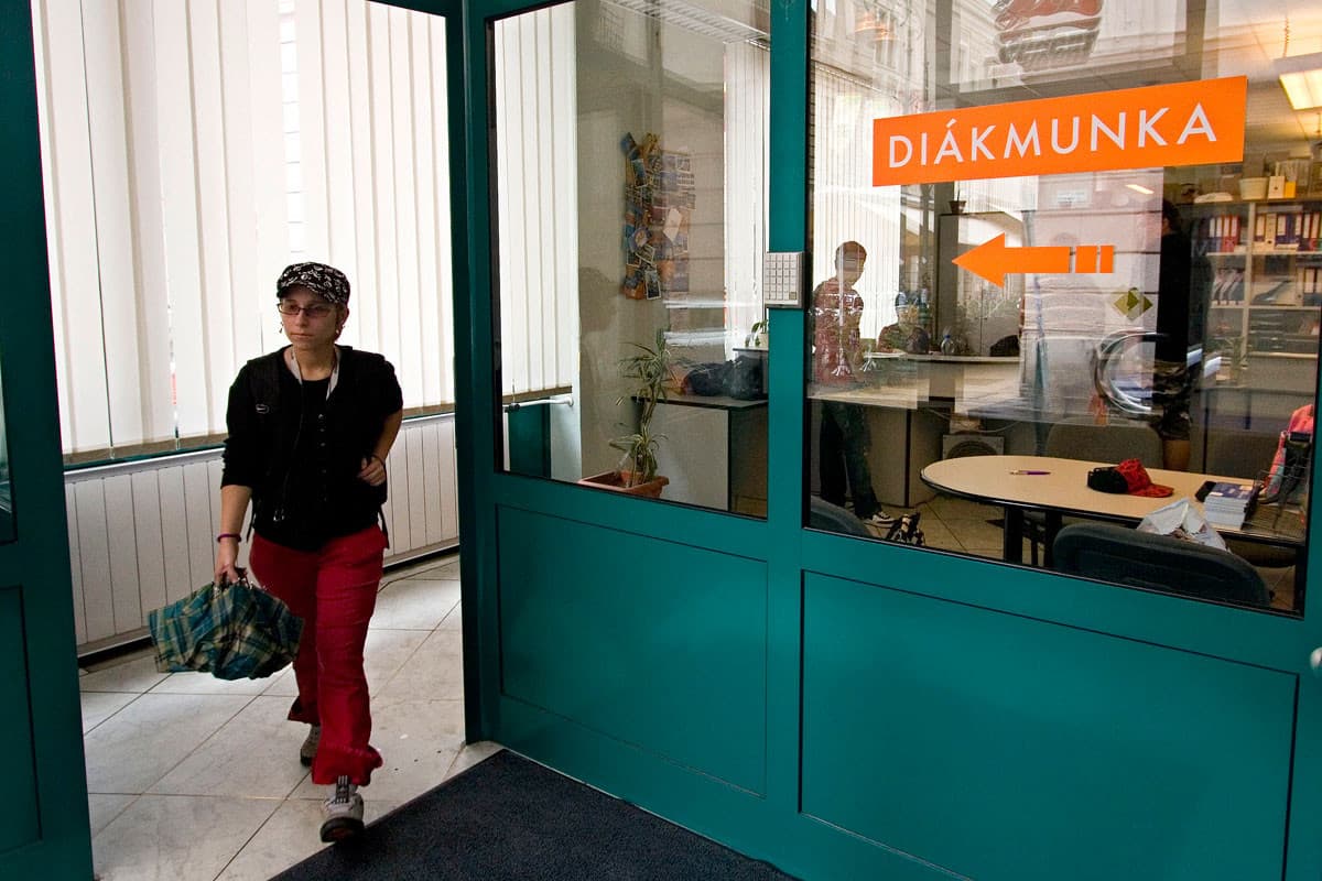 Nem csökkent drasztikusan a diákmunka