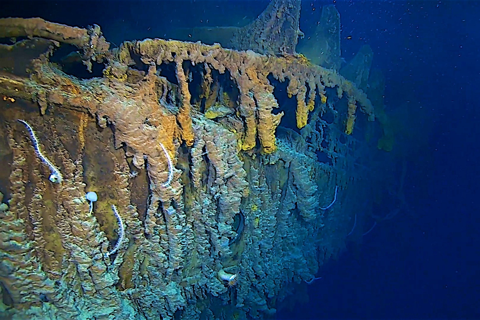 Filmcsemege: nyilvános a teljes videó a Titanic megtalálásáról