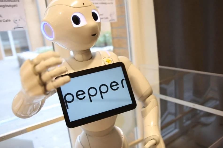 Milyen jogaik lehetnek a humanoid robotoknak?