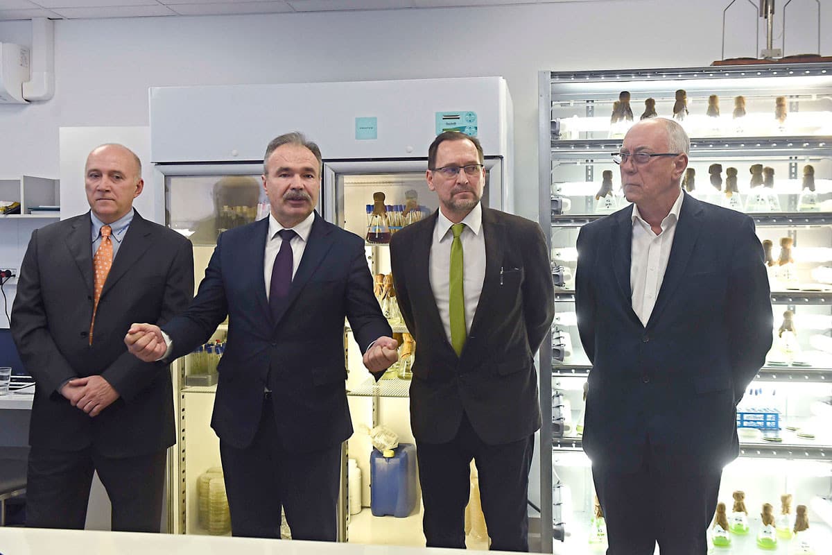 Új technológia a talajkezelésben