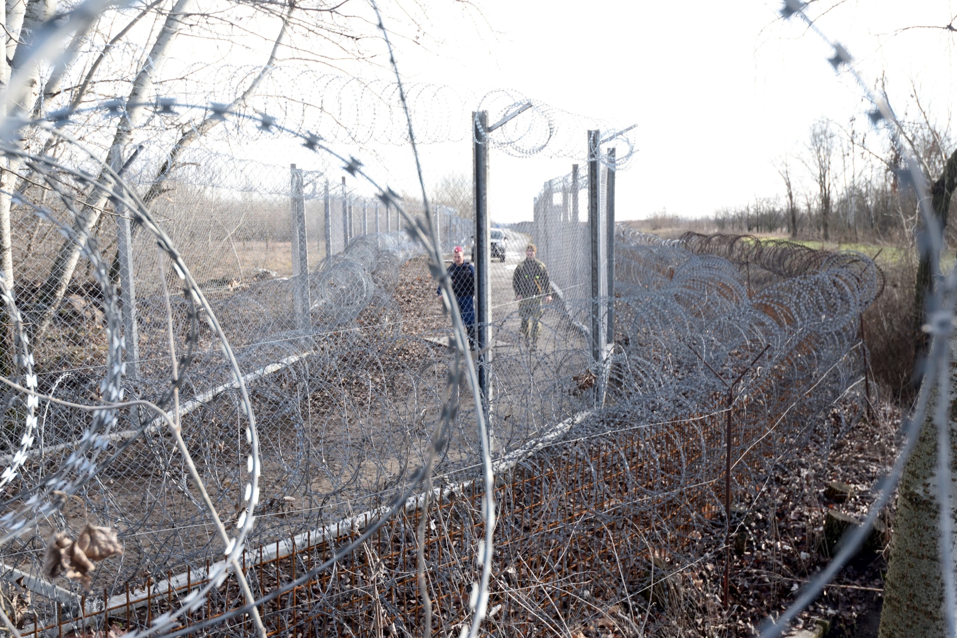 Egyre többen próbálkoznak illegálisan Magyarországra jutni