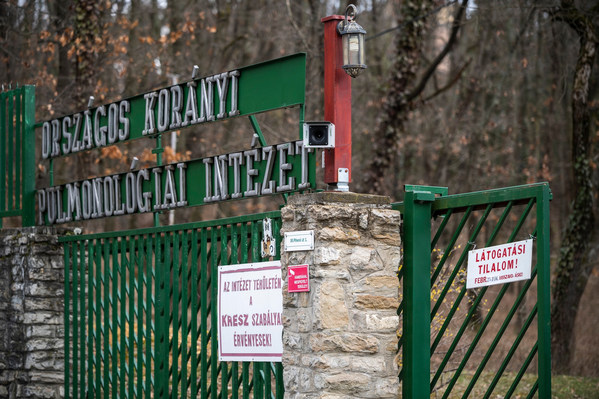 Minden intenzív terápiás szakvizsgával rendelkező ember ért a lélegeztetőgépekhez