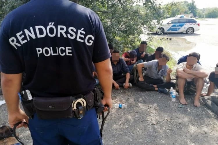 Migránsalagutat fedeztek fel a határrendészek Mórahalmon