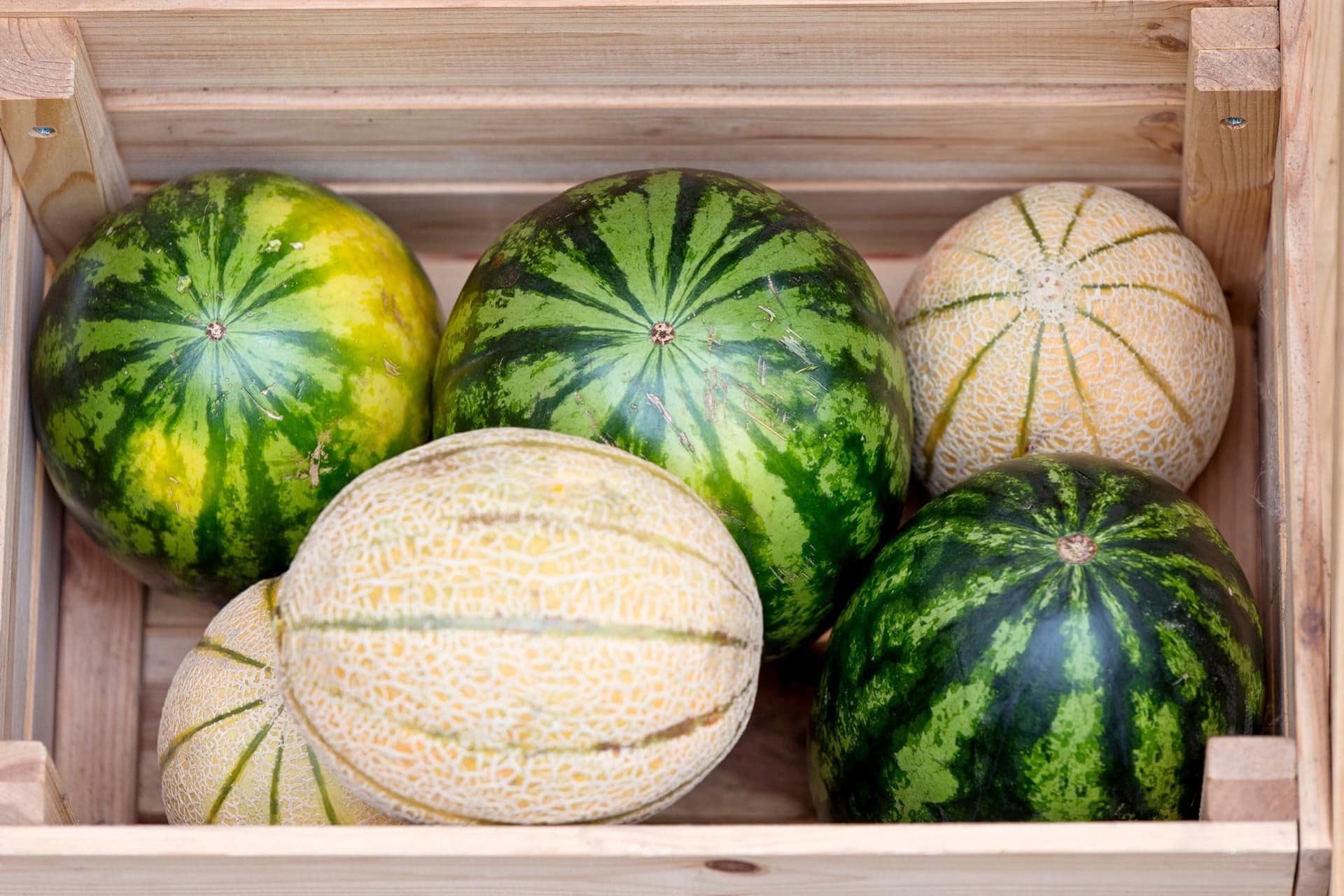Tovább növelné a dinnyefogyasztást az Agrárminisztérium és az Agrármarketing Centrum