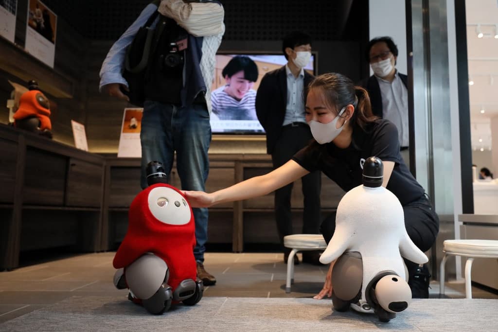 Robotokkal enyhítik az emberi kapcsolatok hiányát Japánban