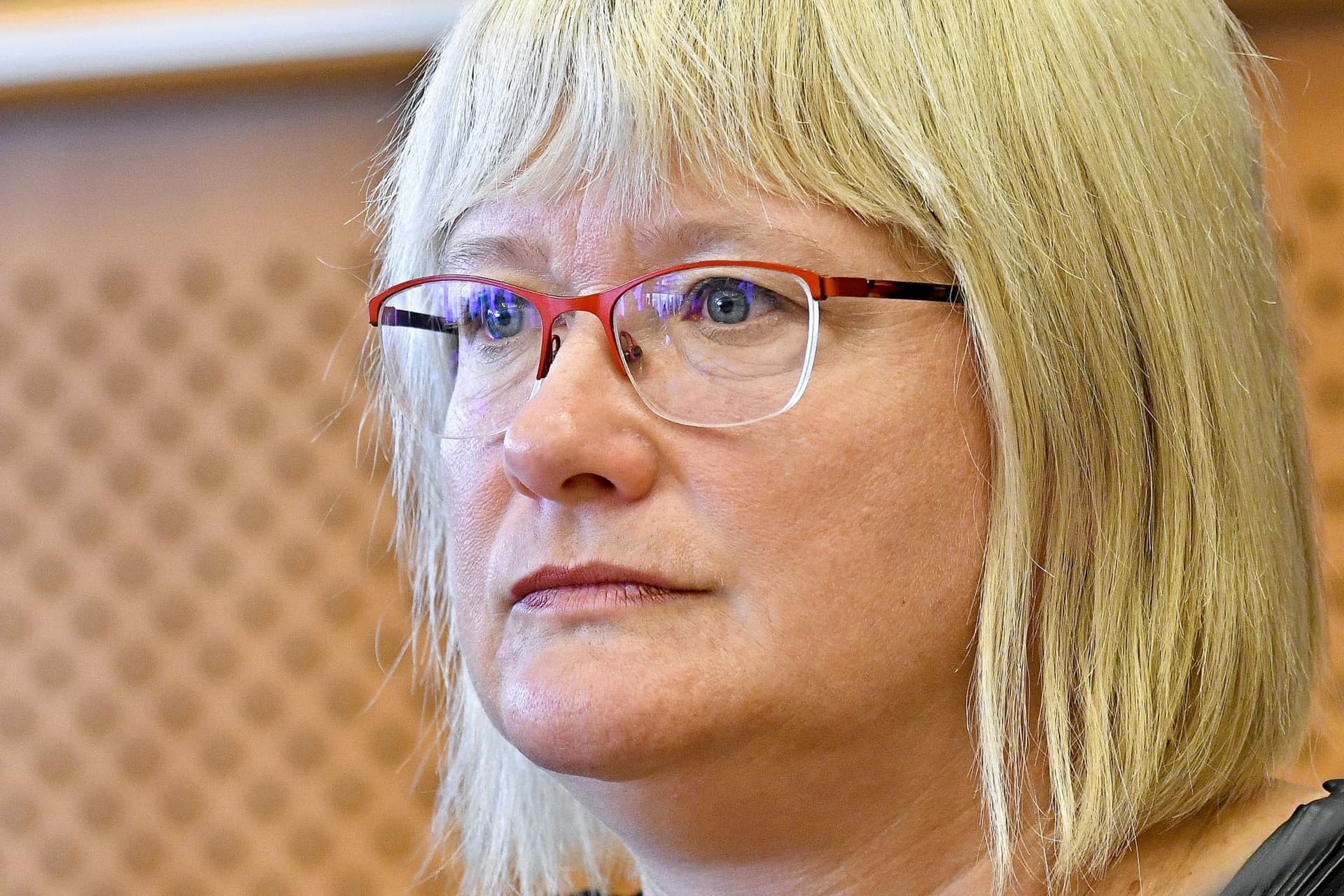 Gál Kinga: Az EP egy újabb, balliberális ideológiával átitatott külpolitikai határozat elfogadására készül