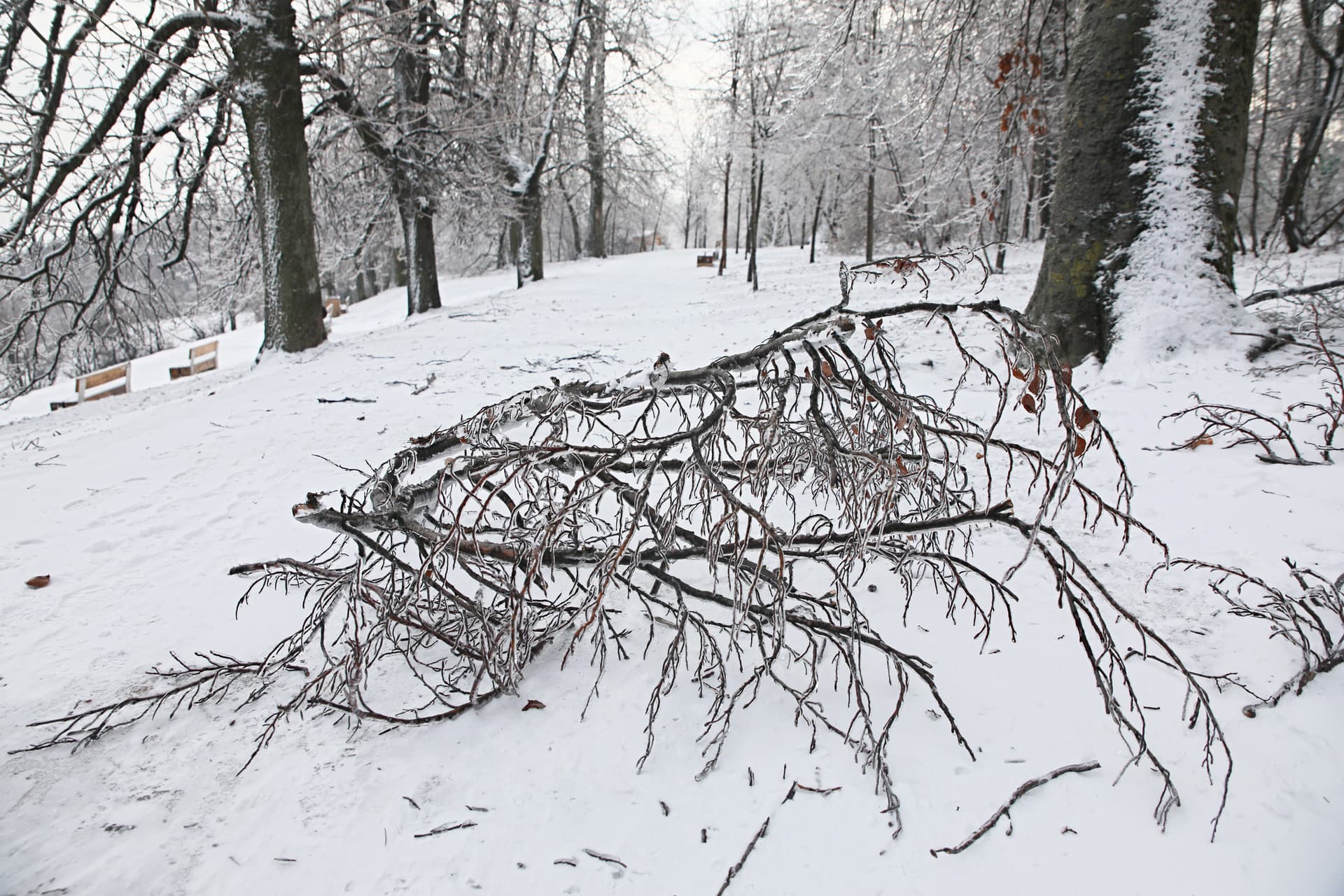 Dobogókő dobogós helyen a hóversenyben