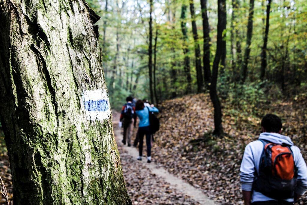 E-bringák, megújuló erdei kerékpárutak, bővített parkolók a Pilisben