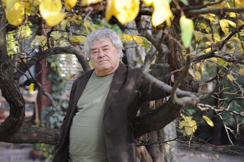 Elhunyt Gyulai Líviusz grafikusművész