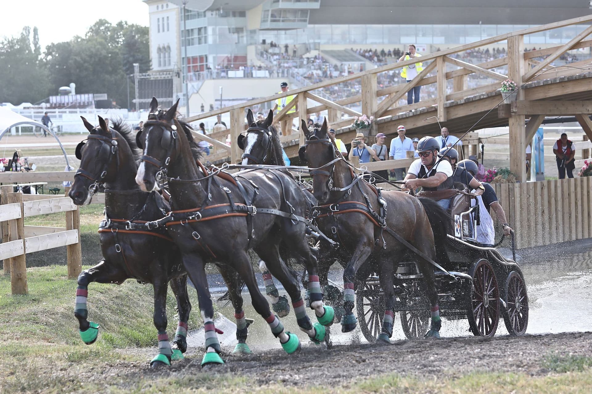 A magyar négyesfogathajtás csúcspontjának ígérkezik a 2024-es világbajnokság