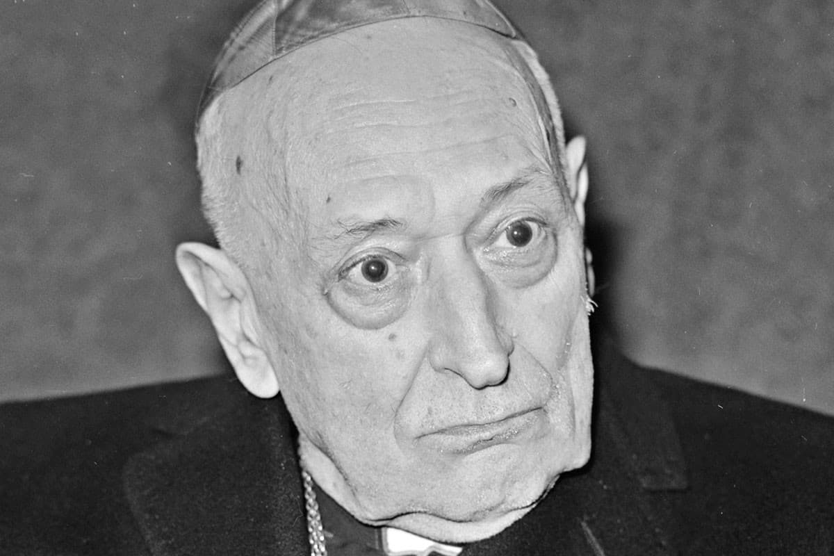 Mindszenty a felvidéki magyarokért