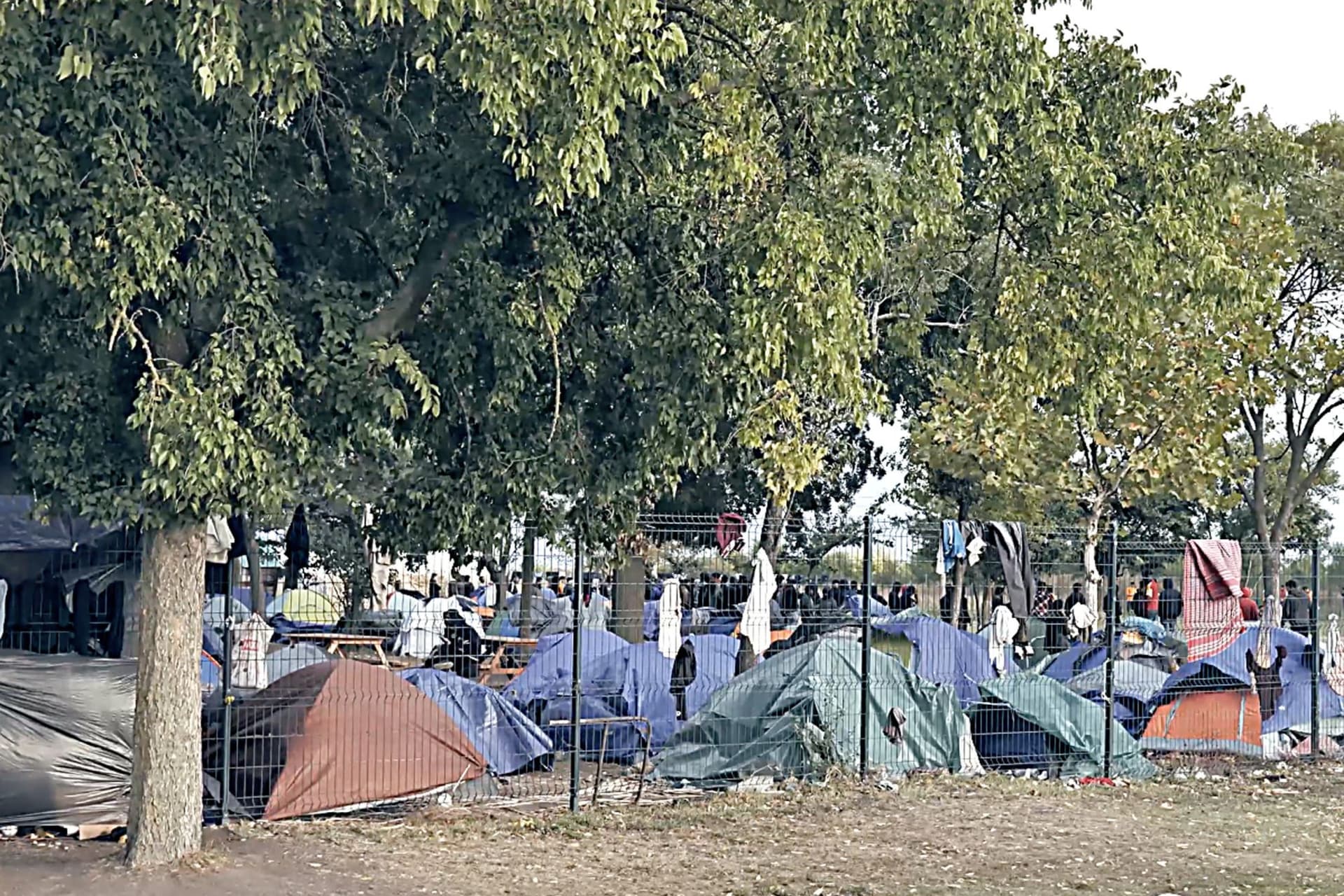 Bakondi György: A téli időszakban sem csökkent a migrációs nyomás