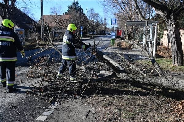 Több mint ötszáz esetnél avatkoztak be a tűzoltók hétfőn