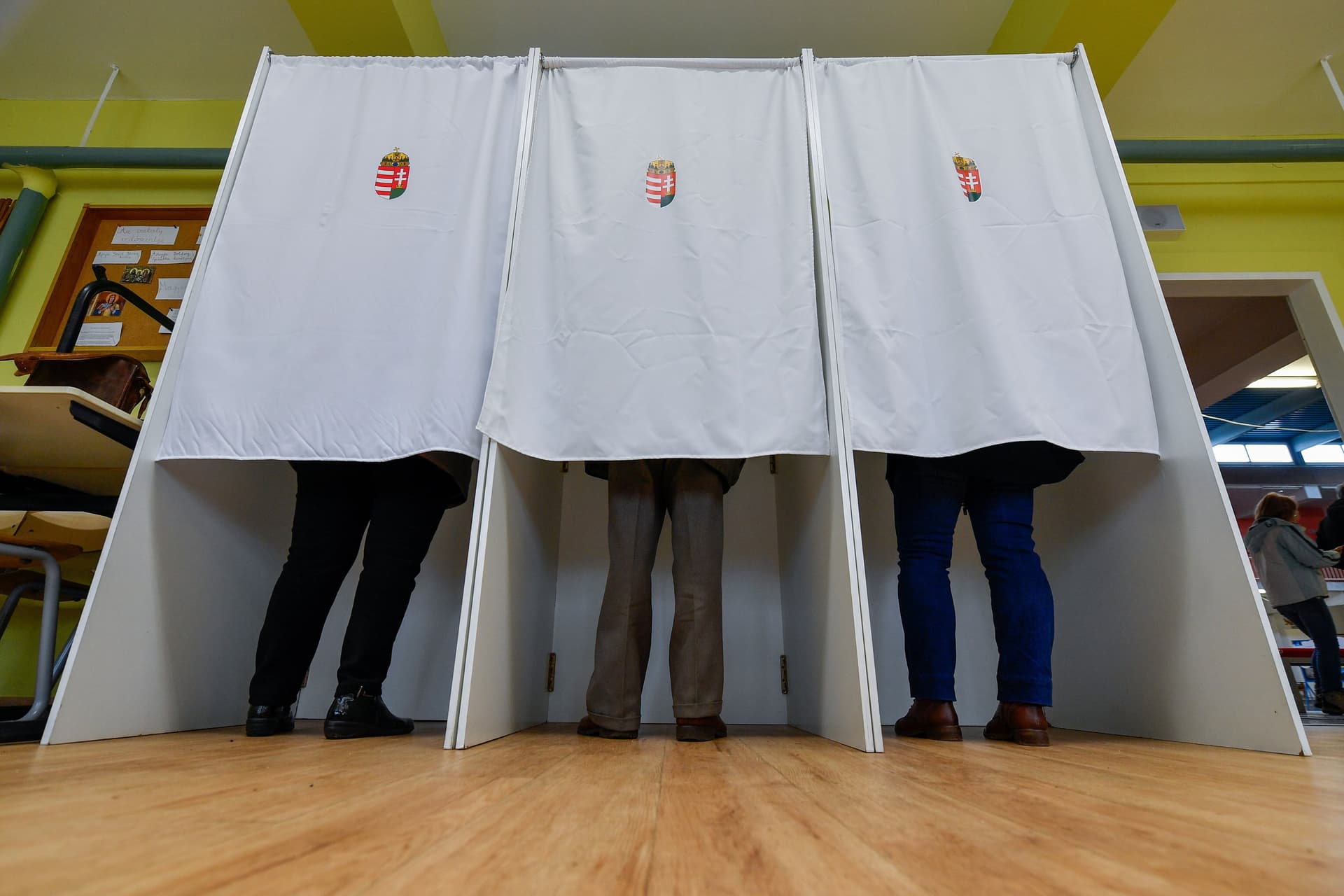 Egyedül indult, függetlenként