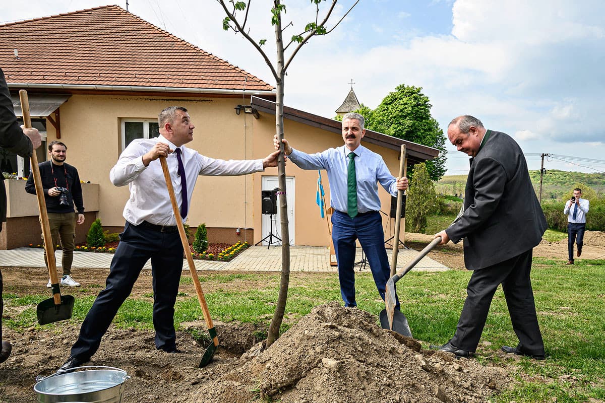 Két év alatt harminchatezer sorfát ültettek