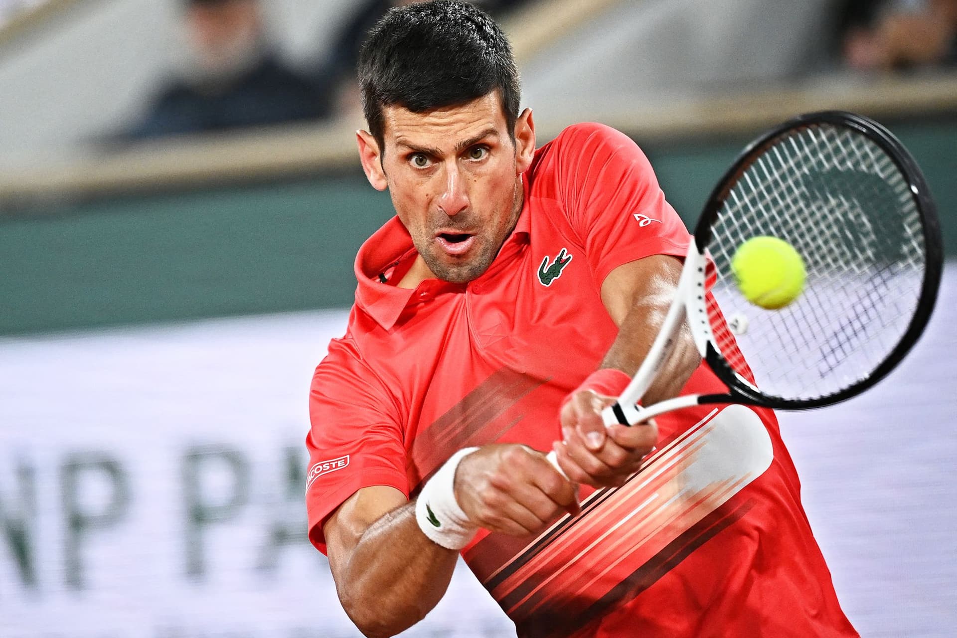 Ezúttal egy futrinka kapta Djokovic nevét