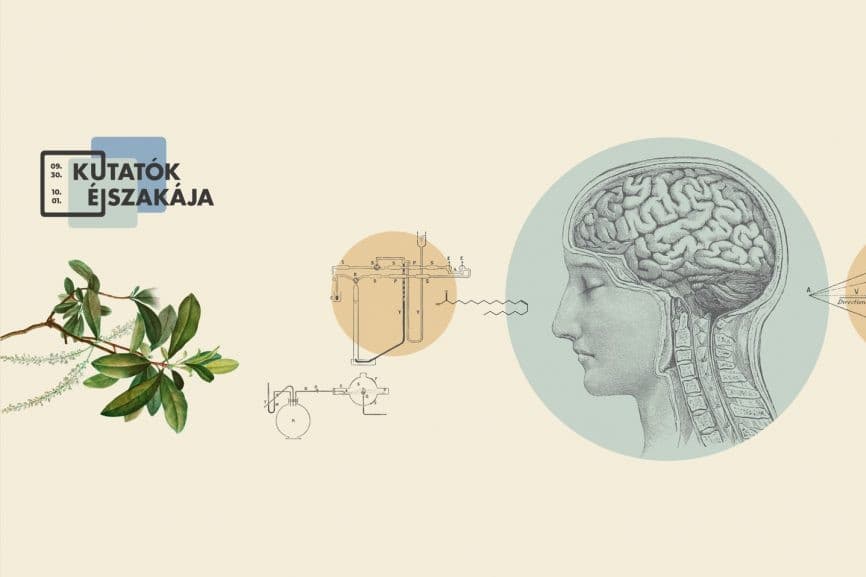 Kutatók Éjszakája – Csaknem kétszáz program a Pécsi Tudományegyetem kutatóhelyein, laboratóriumaiban