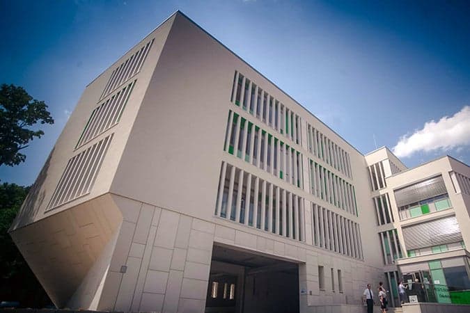 Az agykutatás hete – Pécsen az ADHD lesz fókuszban