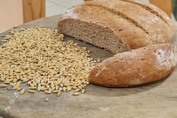 Az élelmezésbiztonság a globális béke alappillére