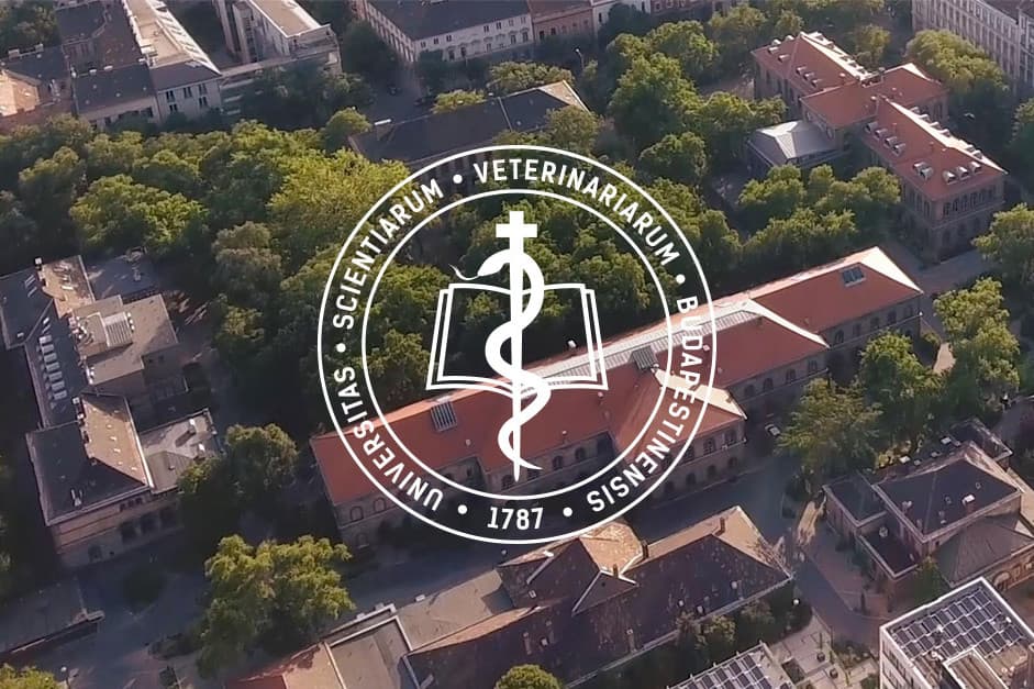 Állatvédelmi posztgraduális képzést indít az Állatorvostudományi Egyetem