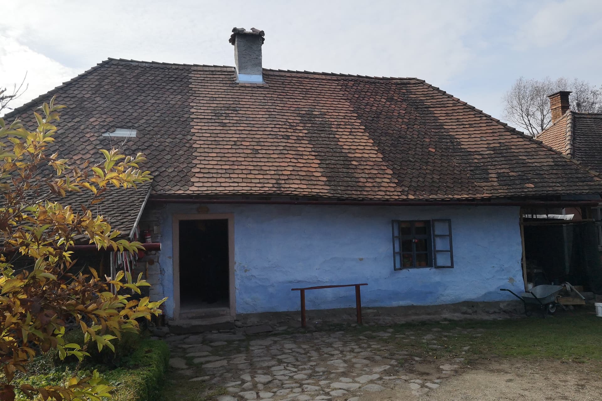 Ahol egér van, ott van macska is