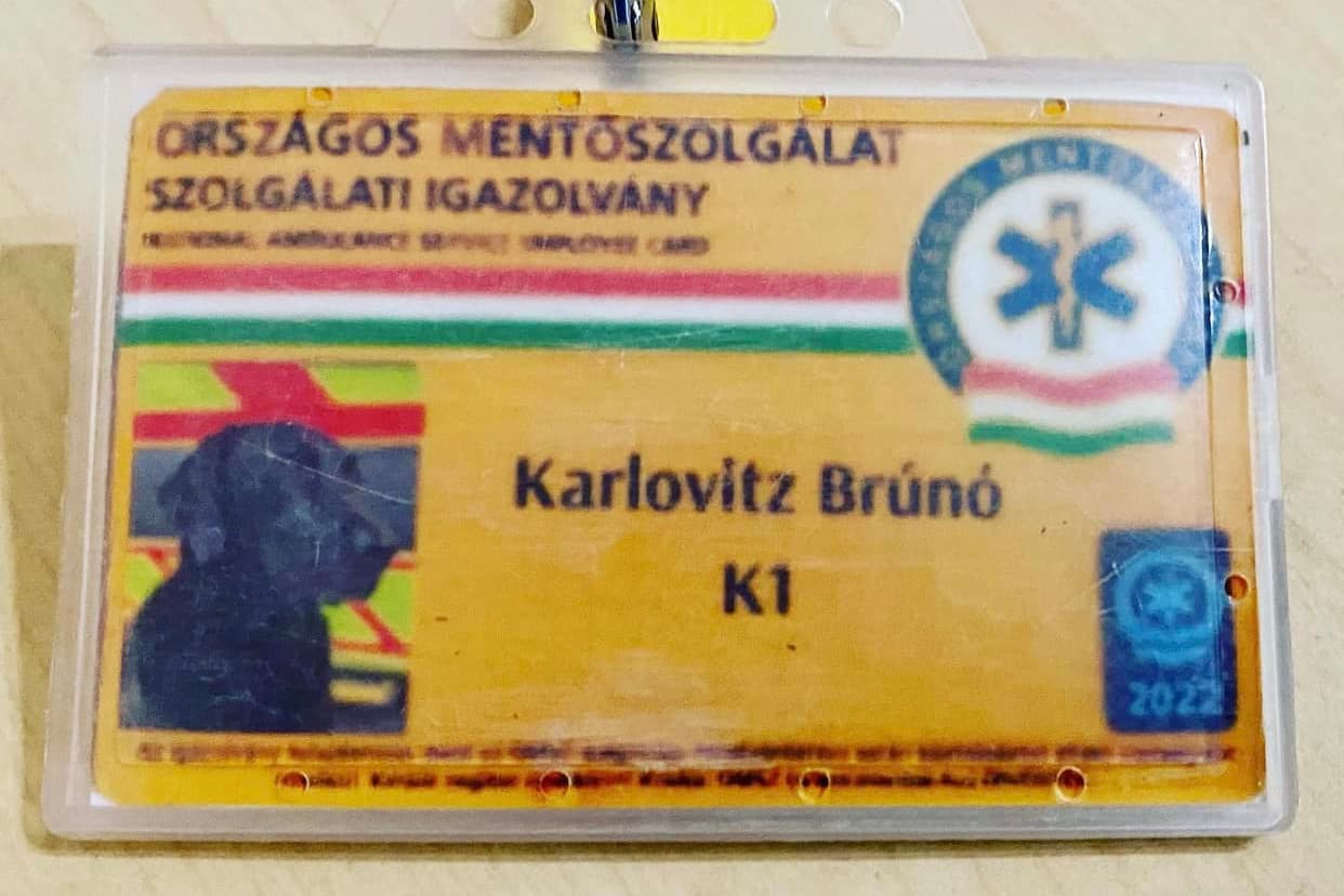 Egy kutyát vettek állományba a mentők
