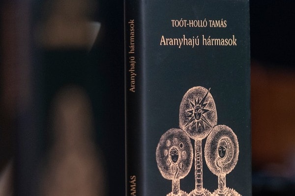 Az aranyhajú gyermekek születése II. rész