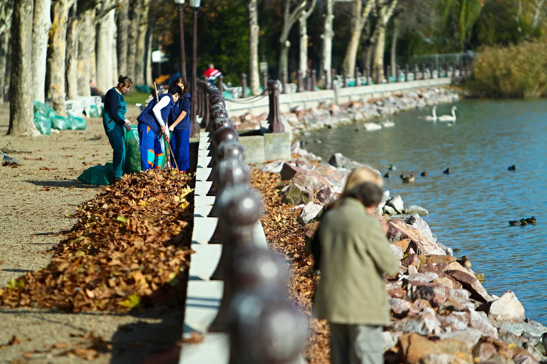 Eltévedt egy vonat úton a Balatonhoz