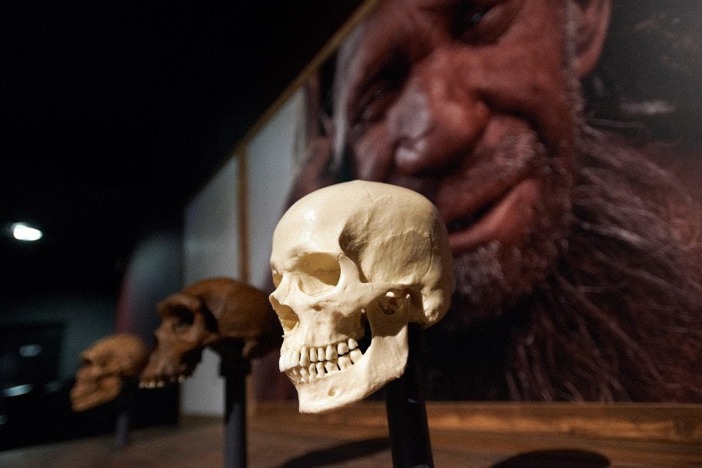 A neandervölgyi ősember már 55 ezer évvel ezelőtt trófeákat gyűjtött barlangjában