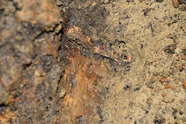 Hun harcos sírjára bukkanhattak Romániában