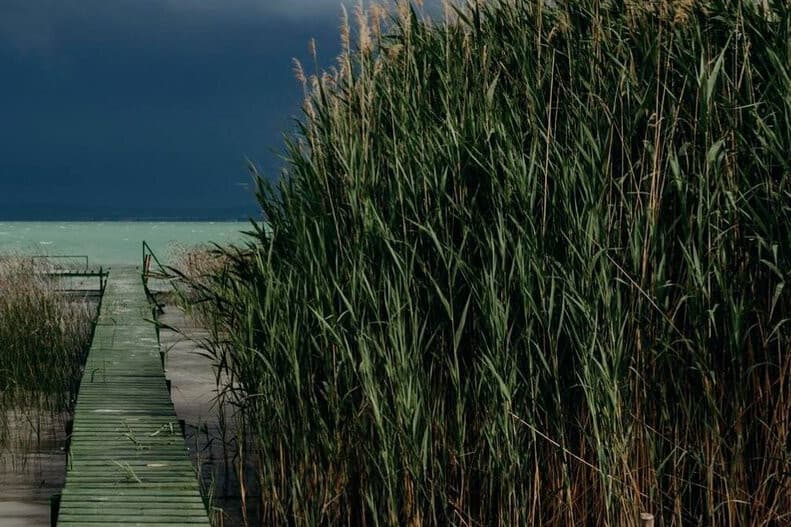 Csak az elmúlt napokban kilenc embert kellett kimenteni a Balatonból