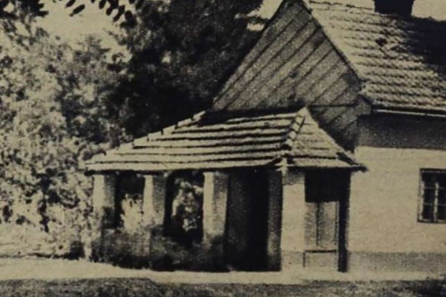 Holttestek a kútban – Jancsó Ladányi Piroska