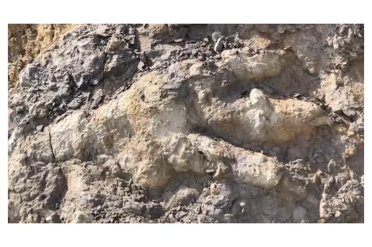 Gigantikus dologra bukkantak a tengerparton