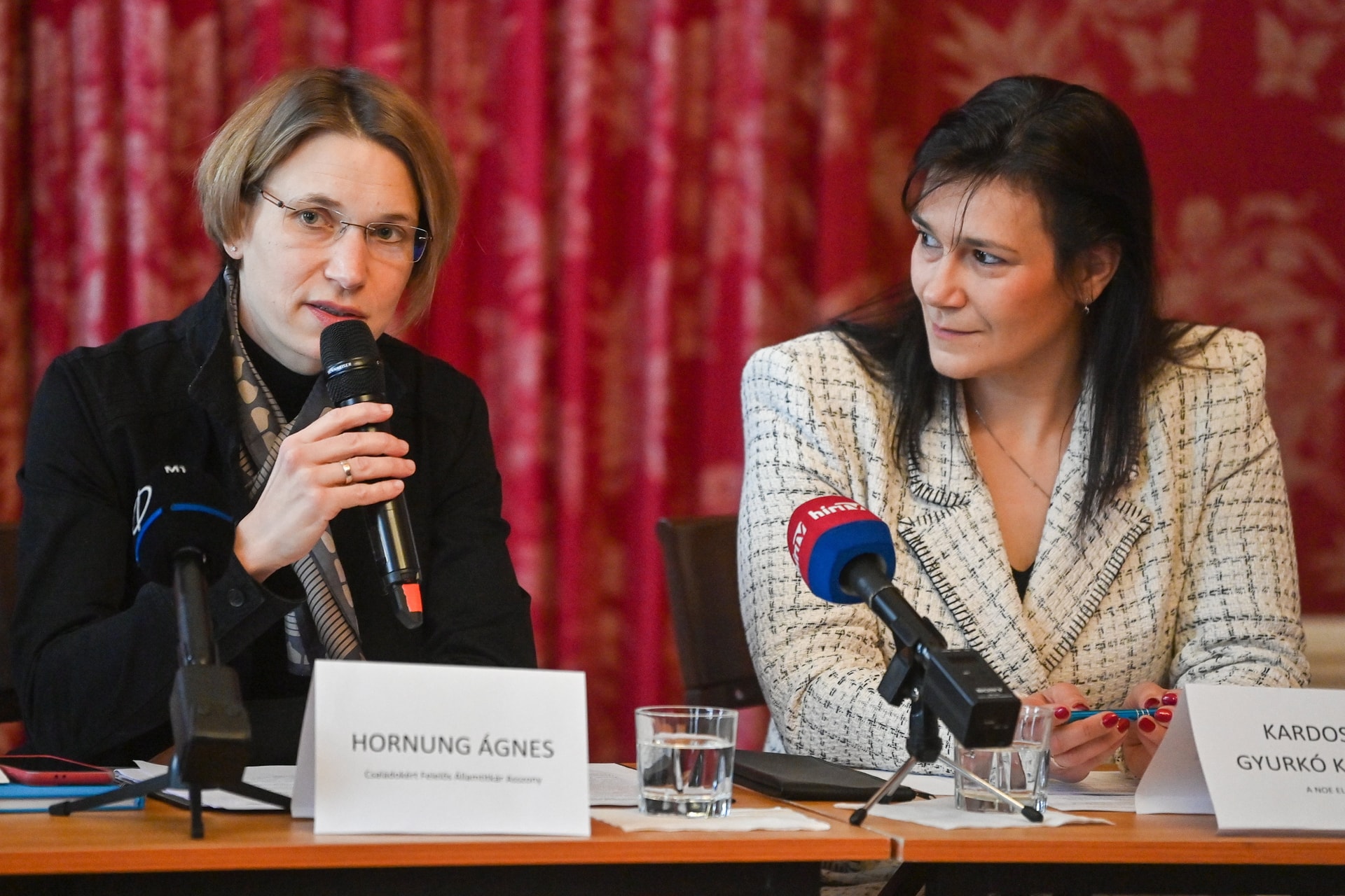 Hornung Ágnes: A családszervezetek fontos partnerei az államtitkárságnak