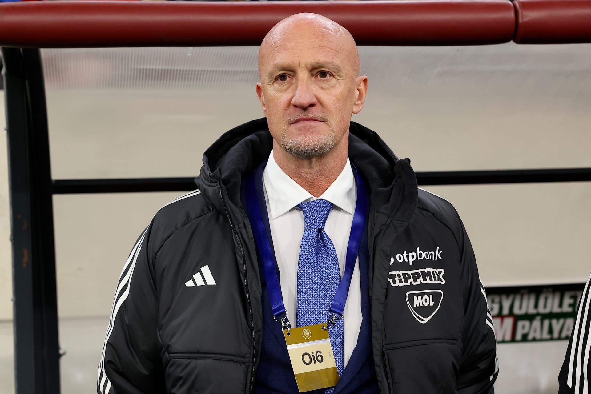 Rossi szerint a Honvéd és a Vasas is gyorsan visszatérhet az élvonalba