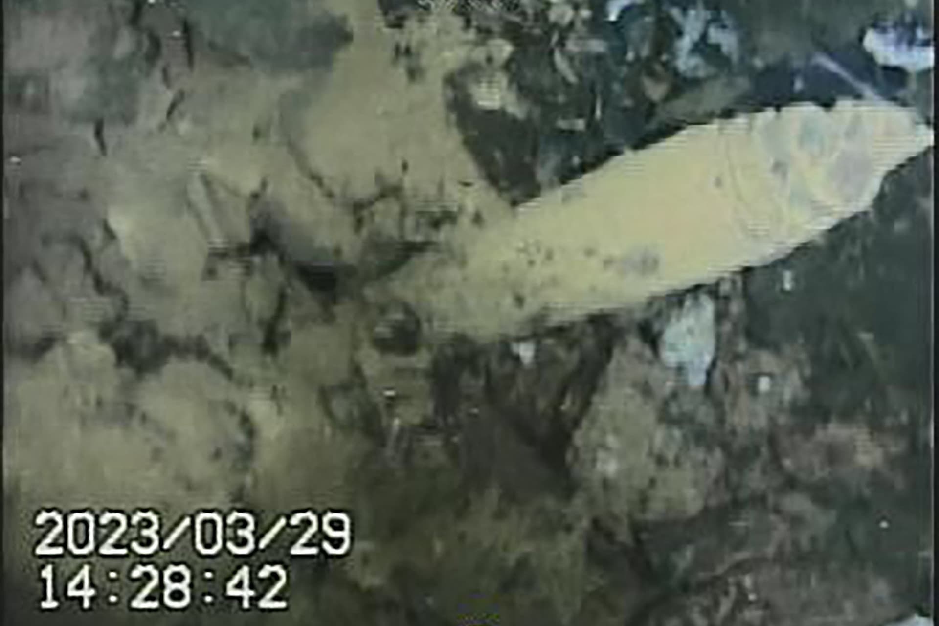 Aggasztó képek készültek a fukusimai atomerőműről