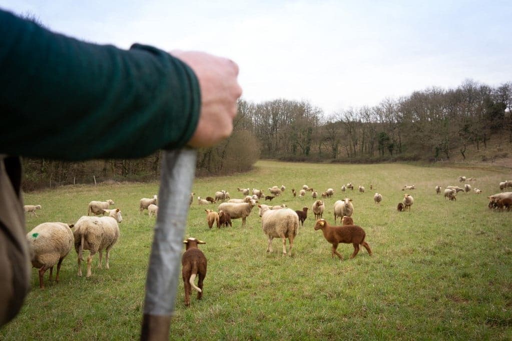 Jó úton halad a Közös Agrárpolitika?